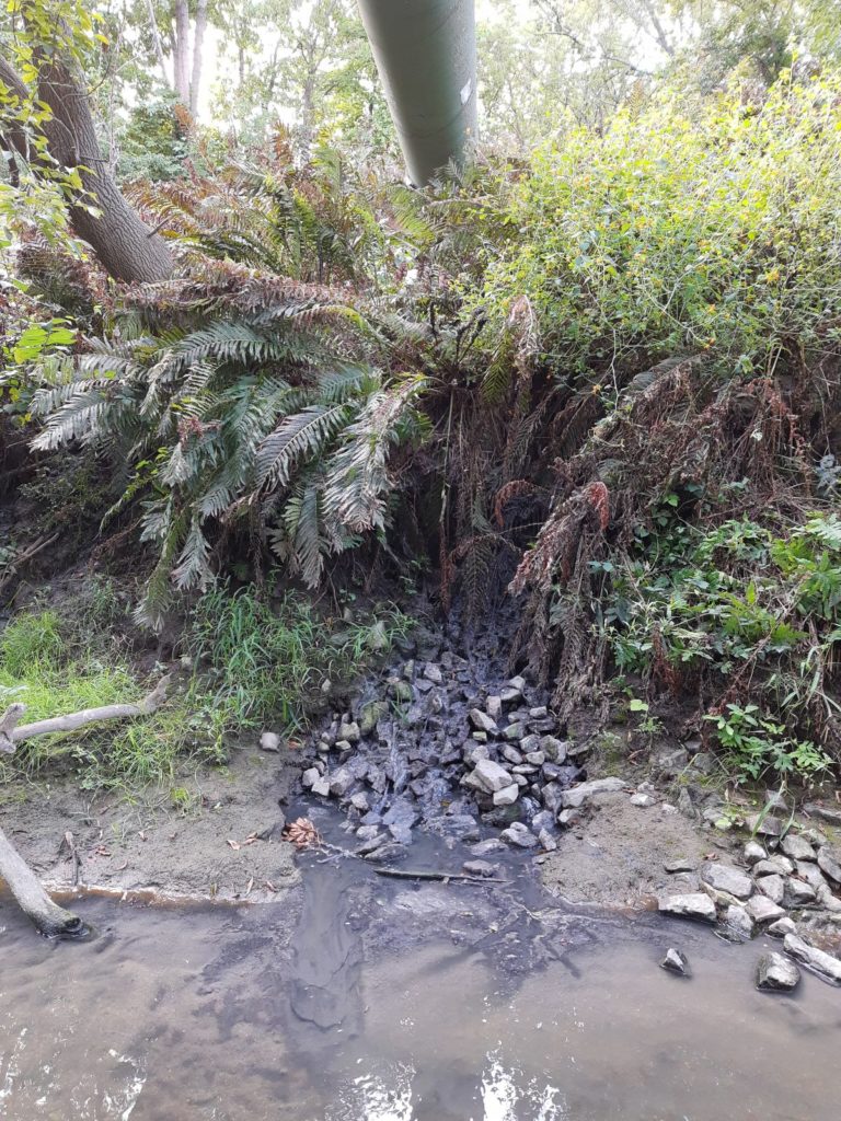 Contamination du ruisseau
