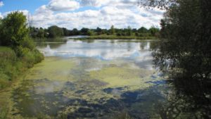 Évaluation des ouvrages de traitement des eaux usées - Bassin versant de la zone Châteauguay