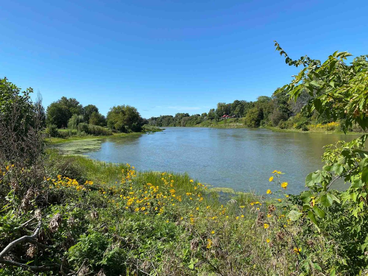 La rivière Châteauguay à Mercier. Photo : Fondation Rivières
