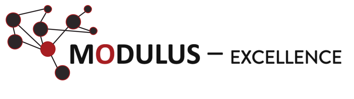 Logo Modulus Excellence