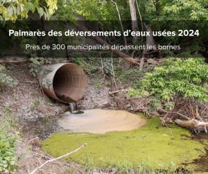 Palmarès 2024 des déversements d'eaux usées