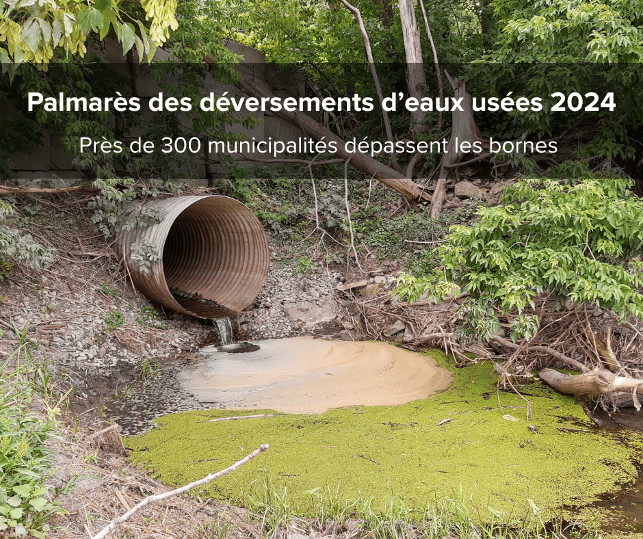 Palmarès 2024 des déversements d'eaux usées