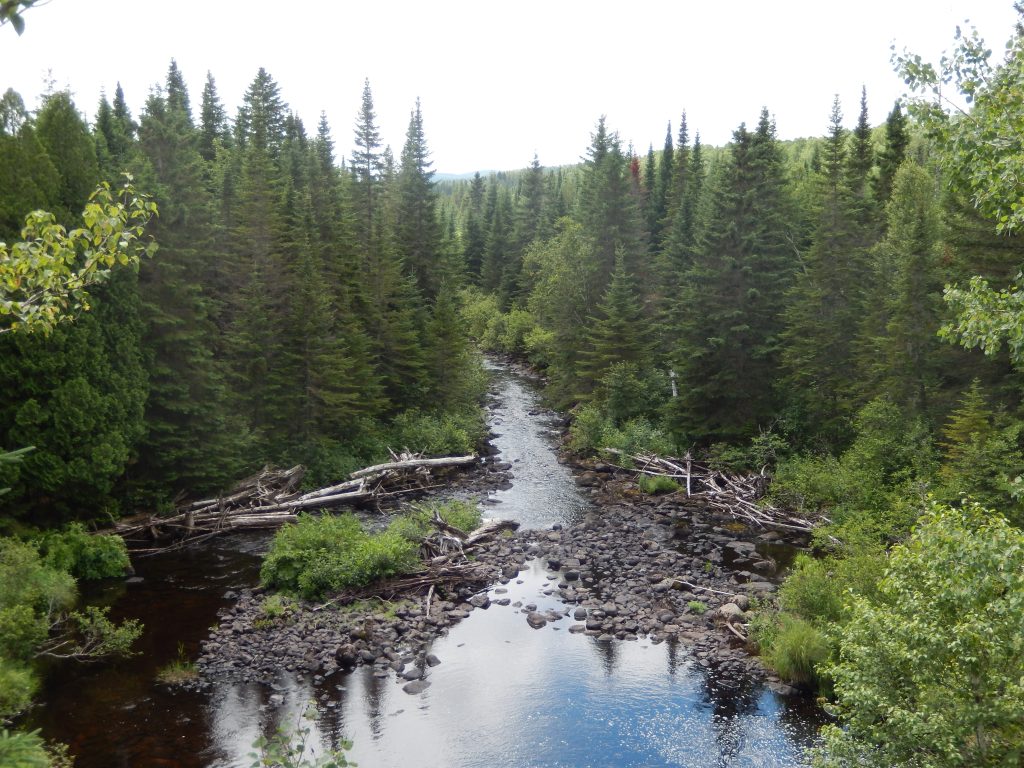 Adoptez la rivière Saint-François