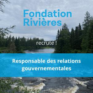 Recrutement affaires gouvernementales