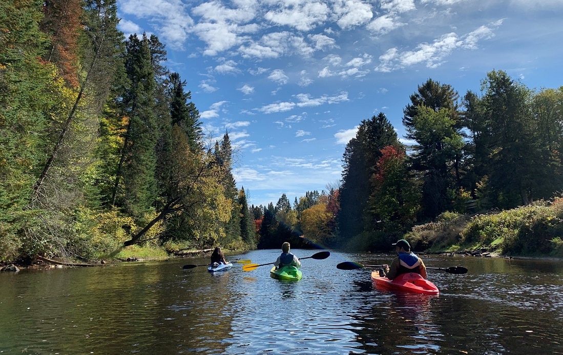 Kayak RDN